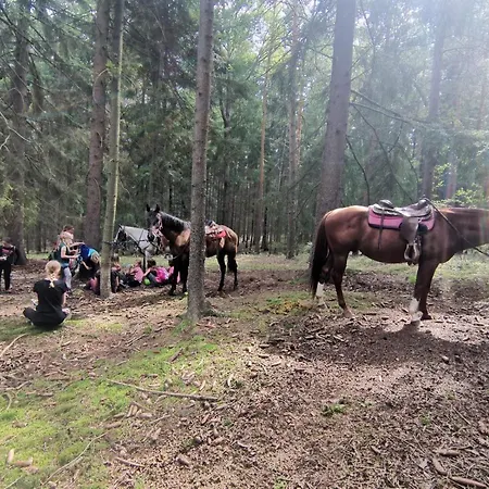 Statek Bezdedice * Hostomice