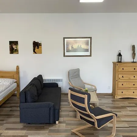 Apartment Statek Bezdedice