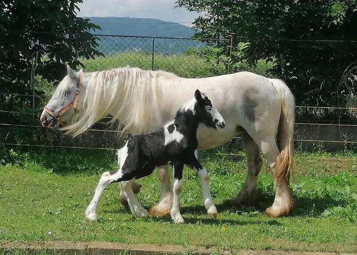 Statek Bezdědice Hostomice