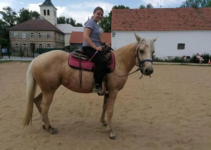 Statek Bezdedice Lejlighed Hostomice